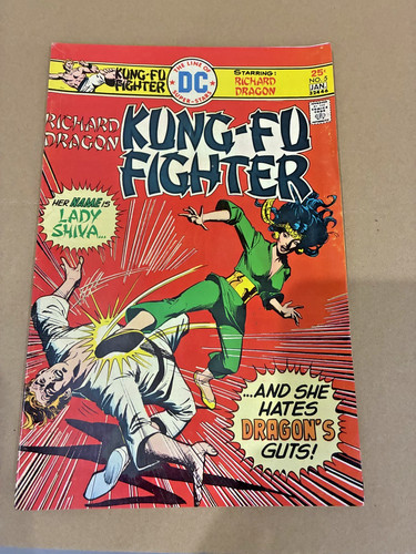 Richard dragon kung fighter - richard,