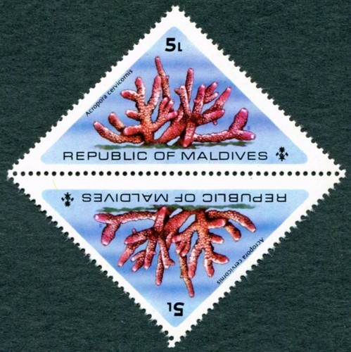 Isole maldive 1975 - isole,